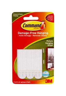 Picture and Frame Hanging Command Strips