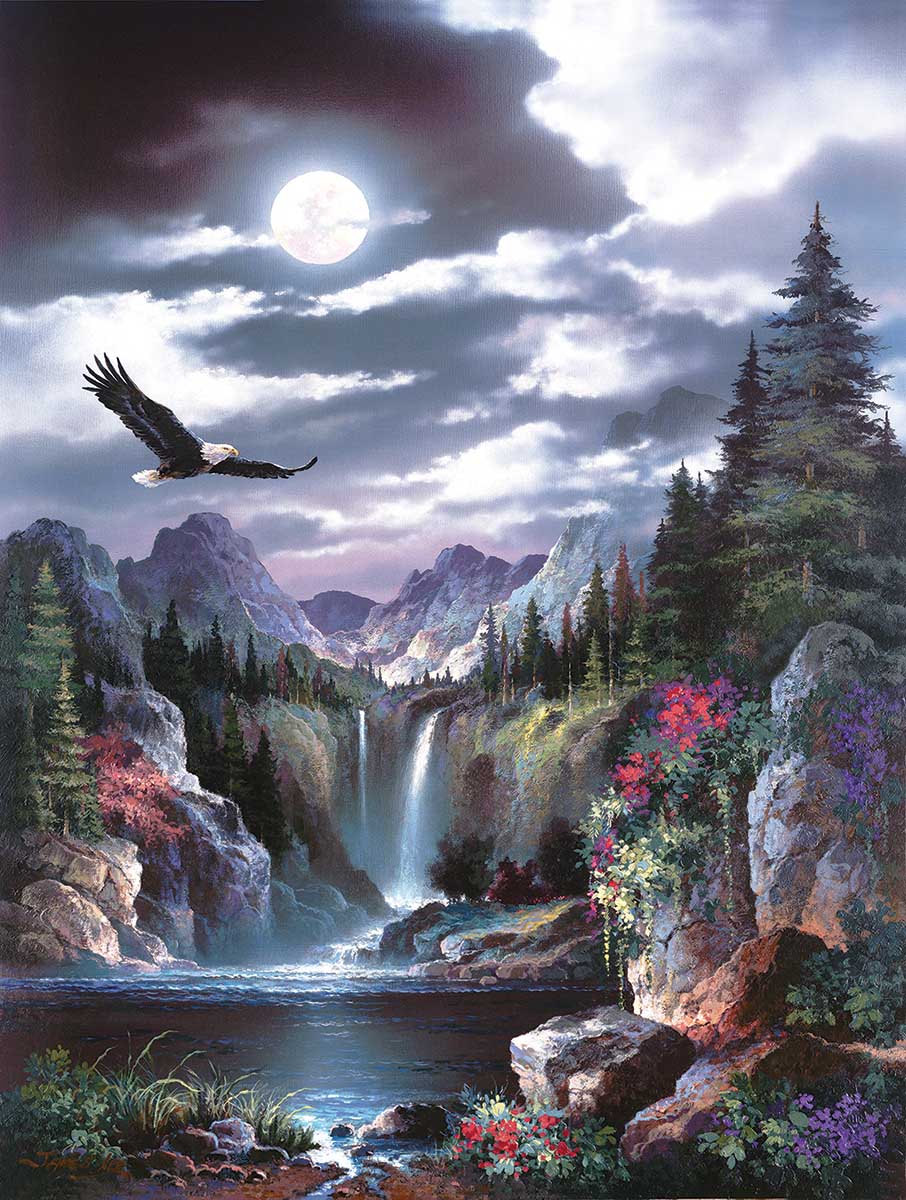 SunsOut Puzzle - #18005 Moonlit Eagle - 300pc Large Format Jigsaw Puzzle