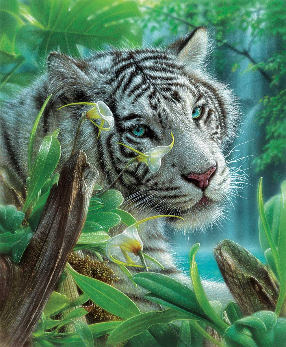 SunsOut Puzzle - #21802 White Tiger of Eden - 1000pc Jigsaw Puzzle