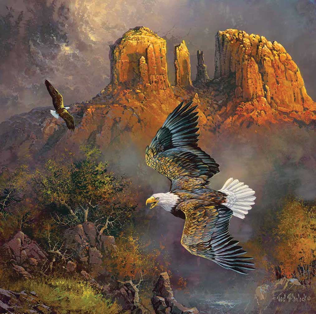 SunsOut Puzzle - #36191 Sedona Eagles - 500pc Jigsaw Puzzle
