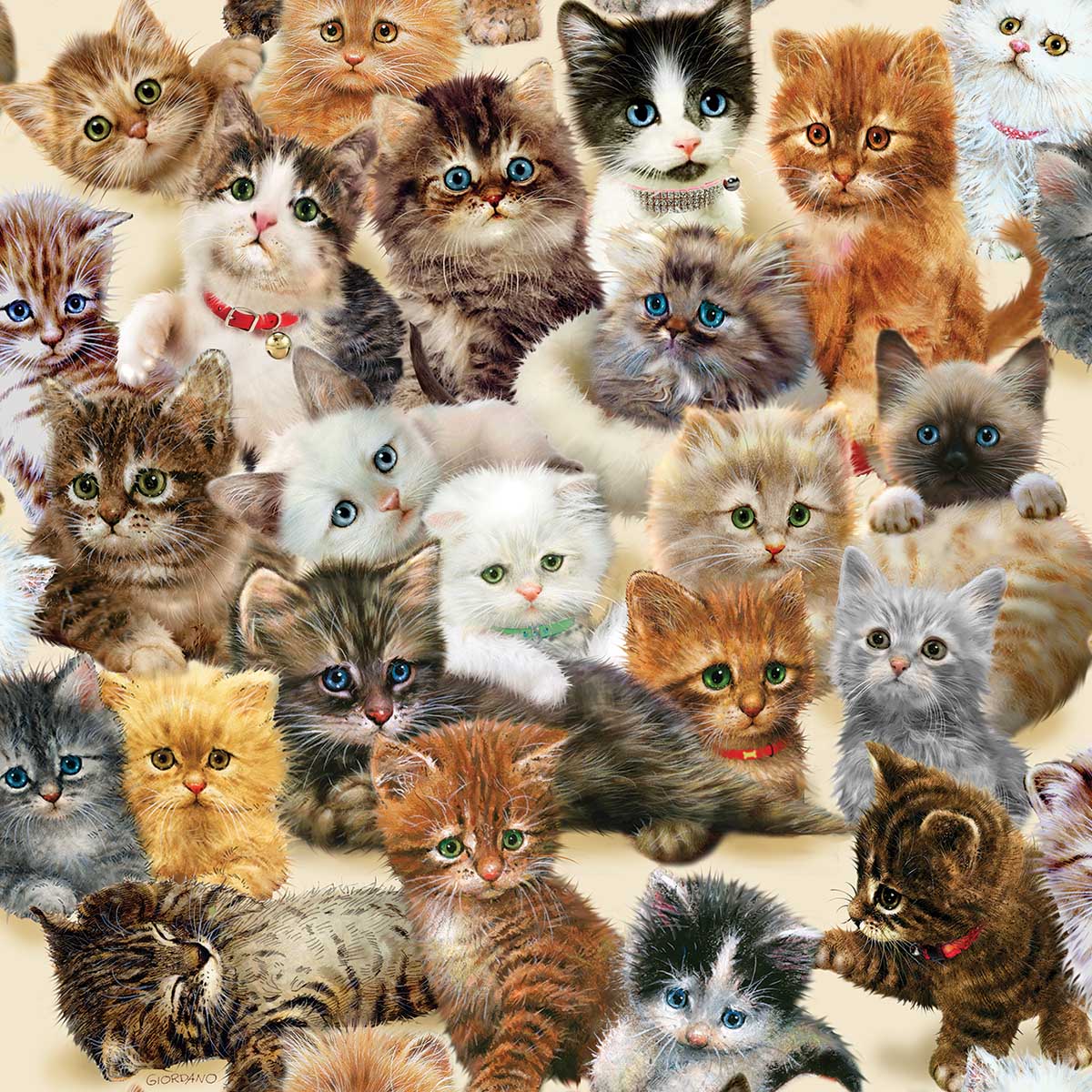 SunsOut Puzzle - #37182 Kittens for the Taking - 500pc Jigsaw Puzzle 