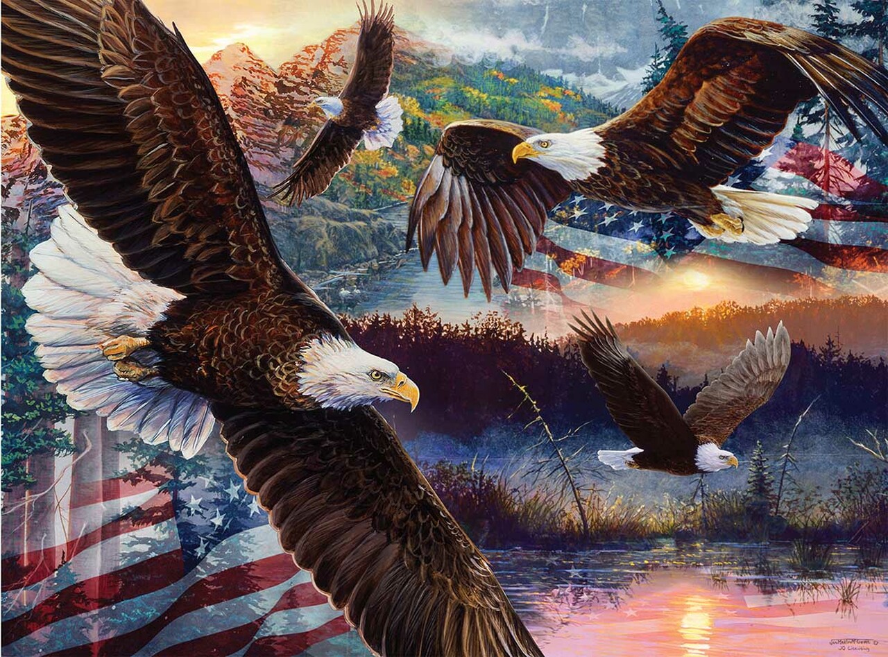 SunsOut Puzzle - #60530 Land of Freedom - 1000pc Jigsaw Puzzle