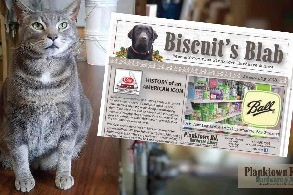 Biscuit's Blog