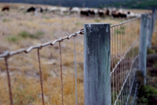 types of fencing for sale at planktown hardware