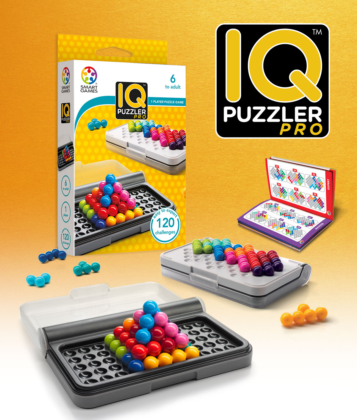 Smart Games - IQ Puzzle Pro